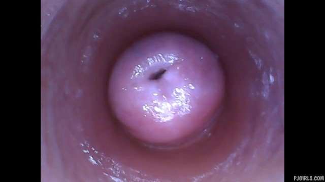 Kira-淫荡自拍 极品骚穴内窥镜直拍 高清湿滑嫩逼一览无余